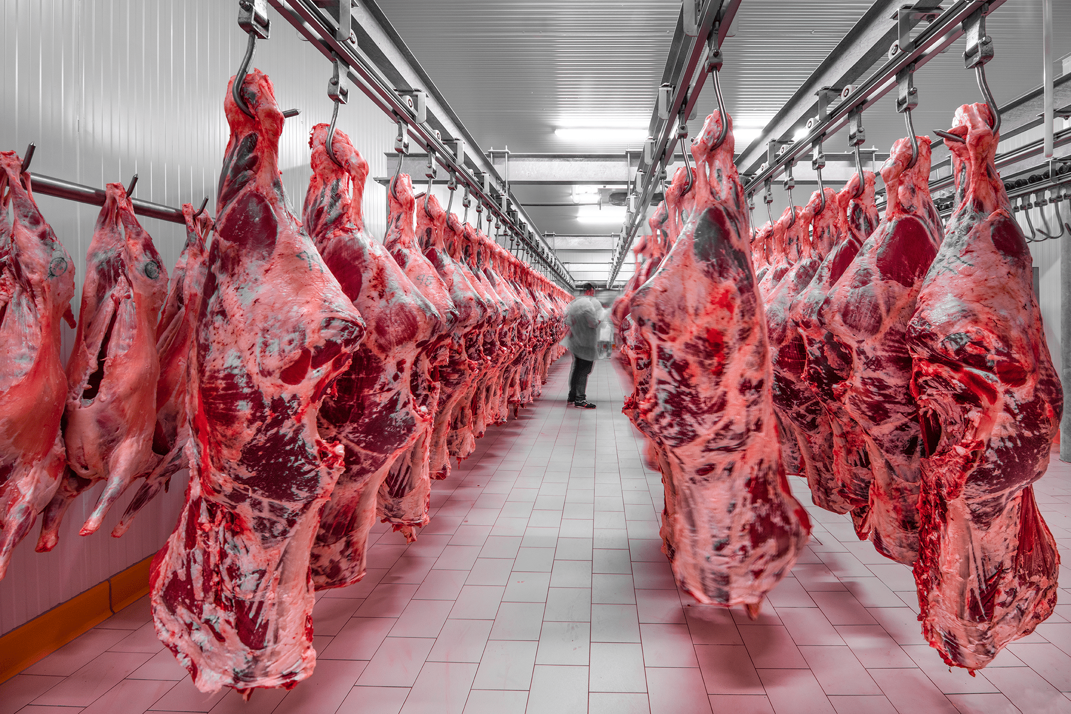 Laboratoires agroalimentaires